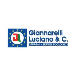 Giannarelli Luciano di Federigo Gianluca e Franco Snc - Spurgo Pozzi Neri, Pietrasanta orari di apertura