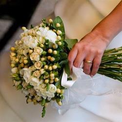 Fiorista Giorgini Danilo - Fiori in Tutto Il Mondo, Arezzo orari di apertura