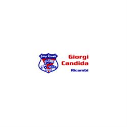 Giorgi Candida Ricambi, Canino orari di apertura