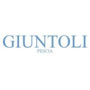 GIUNTOLI, Pescia orari di apertura