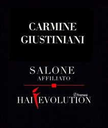 Giustiniani Carmine, Portici orari di apertura