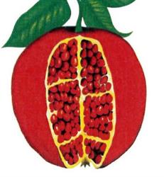 Graphicopy (Srl), Genova orari di apertura