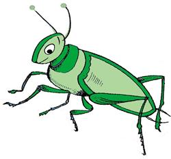 Grasshopper Language School, Rapallo orari di apertura