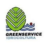 Greenservice Floricoltura, Pisa orari di apertura