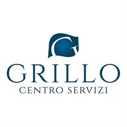 Centro Grillo Servizi Srl Filandari, Mesiano - Orari di apertura