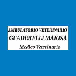 Ambulatorio Veterinario Guaderelli Marisa, Palmanova orari di apertura