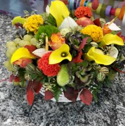 Helga Fiori Di Casiraghi Carlo & C. S.a.s., Segrate orari di apertura