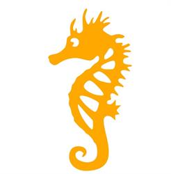 Hippocampus Sas, Fondi orari di apertura