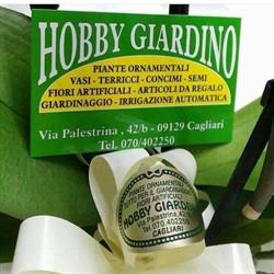Hobby Giardino Di Mereu Roberto, Cagliari orari di apertura
