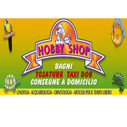 Hobby Shop, Casamassima orari di apertura