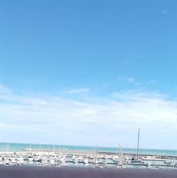 Hotel David Palace, Porto San Giorgio orari di apertura