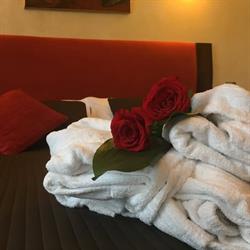 Hotel Delle Tele, Firenze orari di apertura