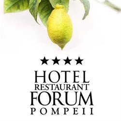 Hotel Forum Di F.Lli Falanga Jr.Srl, Pompei orari di apertura
