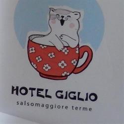 Hotel Giglio, Salsomaggiore Terme orari di apertura