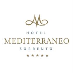 Hotel Mediterraneo, Sant'Agnello orari di apertura