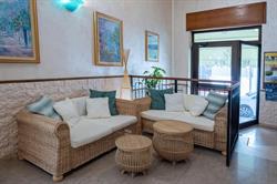 Hotel Rex Snc, Praia a Mare orari di apertura