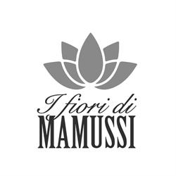 I Fiori Di Mamussi Di Viviana Balduini e Maria Grazia Davini - S.n.c., Pisa orari di apertura