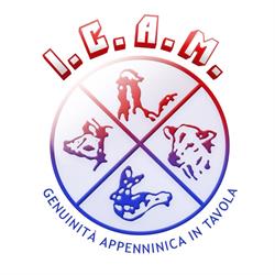 I.C.A.M. SRL, Mercatello sul Metauro orari di apertura