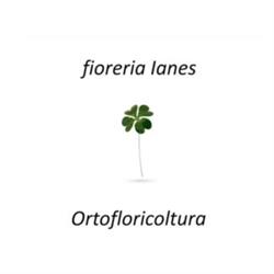 Fioreria e Floricoltura Ianes, Sarnonico orari di apertura