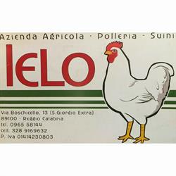 Polleria E Suini Di Ielo Domenico Dal 1960, Reggio Calabria orari di apertura