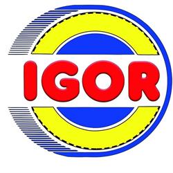 Igor Pneumatici SRL, Torino orari di apertura