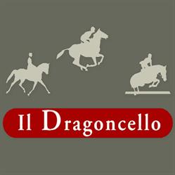 Il Dragoncello pony club, Roma orari di apertura