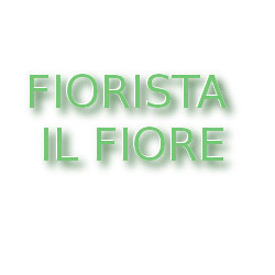 Fiorista il Fiore, Molinella orari di apertura