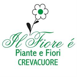 Il Fiore E' Di Lazzarin Luciano e C. S.n.c., Crevacuore orari di apertura