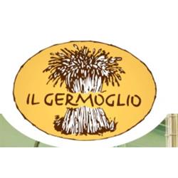Il Germoglio Srl, Lazise orari di apertura