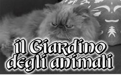 Il Giardino degli Animali, Fasano orari di apertura