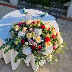 Il Mio Fioraio, Trani orari di apertura