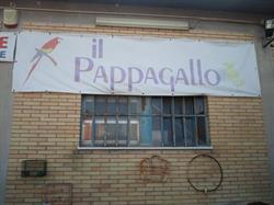Il Pappagallo Di Catena Simone, Jesi orari di apertura