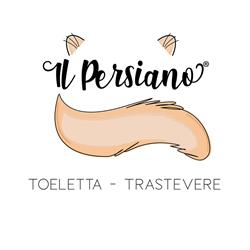 Il Persiano dal 1990 Roma, Trastevere - Orari di apertura