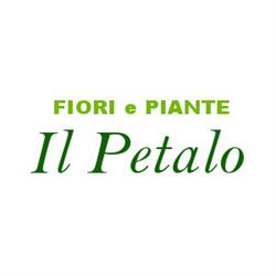 Il Petalo, Maiolati Spontini orari di apertura