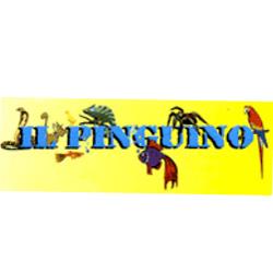 Il Pinguino, Torino orari di apertura