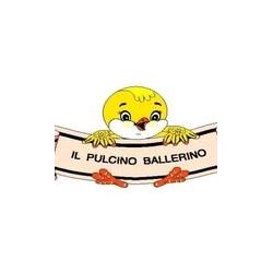 Asilo Nido Il Pulcino Ballerino, Flero orari di apertura
