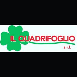 Il Quadrifoglio Di Cavina Roberto, Imola orari di apertura