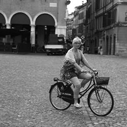 IL RAGNO, Modena orari di apertura