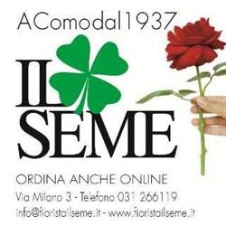 Il Seme S.A.S., Como orari di apertura
