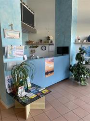 Immobiliare Carlotta SRL Comacchio, Lido Delle Nazioni - Orari di apertura