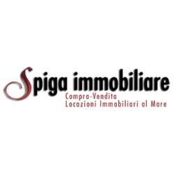 Spiga Immobiliare, Spotorno orari di apertura