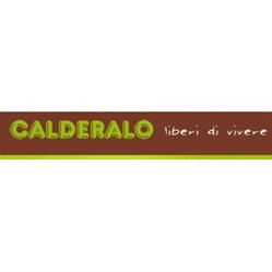 Impresa di Pulizie Calderalo, Toirano orari di apertura