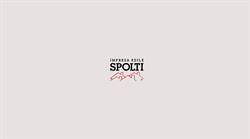 Impresa Di Costruzioni Spolti Di Spolti Mario & C. (S.N.C.), Macherio orari di apertura