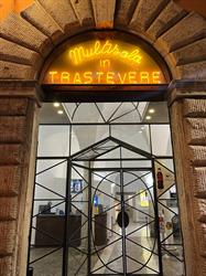 Intrastevere Srl, Roma orari di apertura