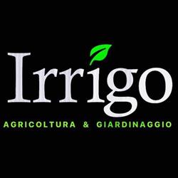 Irrigo SRL, Altamura orari di apertura