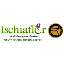 Ischiaflor, orari di apertura