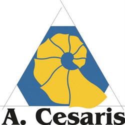 Istituto Di Istruzione Superiore A. Cesaris, Casalpusterlengo orari di apertura