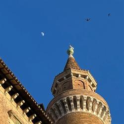 Istituto Grafologico Girolamo Moretti, Urbino orari di apertura