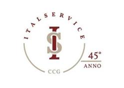 Italservice C.c.g. SRL, Varese orari di apertura