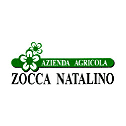 Azienda Agricola Zocca Natalino, Bussolengo orari di apertura